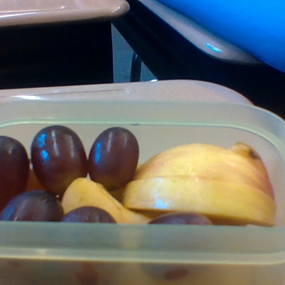 fruit